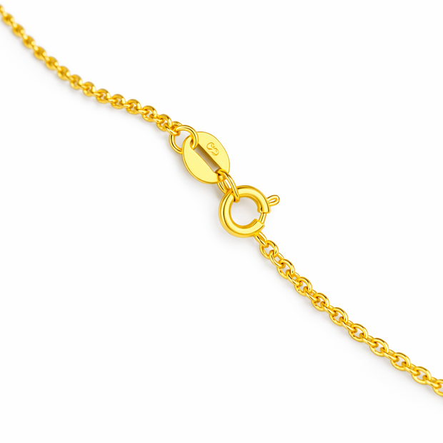 Gold chain necklace with clasp on a white background